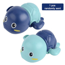 将图片加载到图库查看器,Cool Turtle Tour