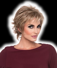 将图片加载到图库查看器,WIG 19