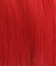 将图片加载到图库查看器,Pure Passion