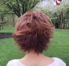 将图片加载到图库查看器,WIG 19