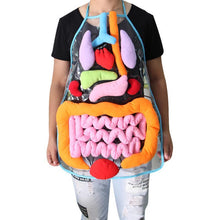 将图片加载到图库查看器,Anatomy Apron