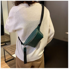 将图片加载到图库查看器，High quality crocodile leather waist bag crossbody bag
