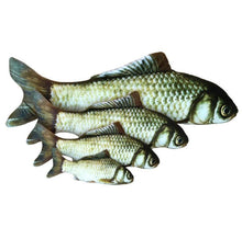 将图片加载到图库查看器，Realistic Looking Cat Kicker Fish Toy - GenieMania Fr
