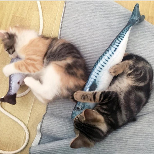 Realistic Looking Cat Kicker Fish Toy - GenieMania Fr