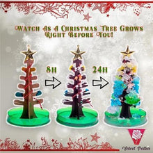 将图片加载到图库查看器，Magic Growing Christmas Tree - 1203

