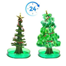 将图片加载到图库查看器，Magic Growing Christmas Tree - 1203
