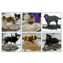 将图片加载到图库查看器，Pet Hair Fur Shedding Trimmer
