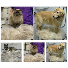 将图片加载到图库查看器，Pet Hair Fur Shedding Trimmer
