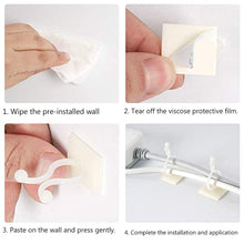 将图片加载到图库查看器，Plant climbing wall fixture - 1203
