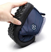 将图片加载到图库查看器，Washington - FULLINO
