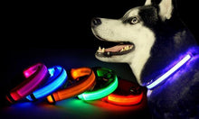 将图片加载到图库查看器，LED Pet Safety Collar - Multiple colors available - GenieMania Fr
