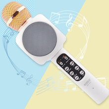 将图片加载到图库查看器，4 in 1 Wireless Karaoke Microphone
