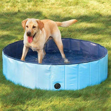将图片加载到图库查看器，Portable Paw Pool
