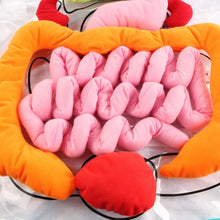 将图片加载到图库查看器，Anatomy Apron
