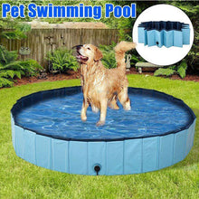 将图片加载到图库查看器，Portable Paw Pool
