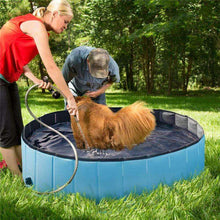 将图片加载到图库查看器，Portable Paw Pool
