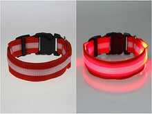 将图片加载到图库查看器，LED Pet Safety Collar - Multiple colors available - GenieMania Fr
