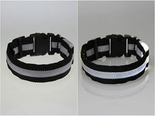 将图片加载到图库查看器，LED Pet Safety Collar - Multiple colors available - GenieMania Fr
