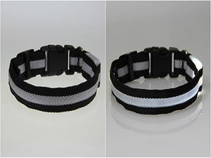 LED Pet Safety Collar - Multiple colors available - GenieMania Fr