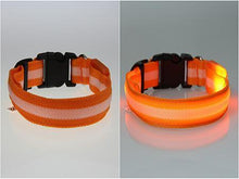 将图片加载到图库查看器，LED Pet Safety Collar - Multiple colors available - GenieMania Fr
