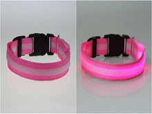 将图片加载到图库查看器，LED Pet Safety Collar - Multiple colors available - GenieMania Fr
