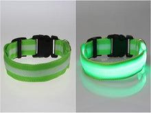 将图片加载到图库查看器，LED Pet Safety Collar - Multiple colors available - GenieMania Fr
