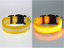 将图片加载到图库查看器，LED Pet Safety Collar - Multiple colors available - GenieMania Fr
