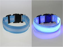 将图片加载到图库查看器，LED Pet Safety Collar - Multiple colors available - GenieMania Fr
