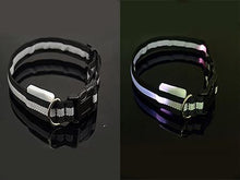 将图片加载到图库查看器，LED Pet Safety Collar - Multiple colors available - GenieMania Fr
