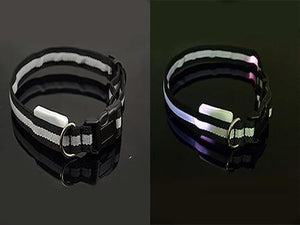 LED Pet Safety Collar - Multiple colors available - GenieMania Fr