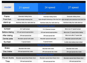 24/26In Folding Mountain Bike