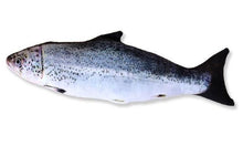 将图片加载到图库查看器，Realistic Looking Cat Kicker Fish Toy - GenieMania Fr
