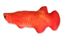 将图片加载到图库查看器，Realistic Looking Cat Kicker Fish Toy - GenieMania Fr
