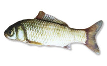 将图片加载到图库查看器，Realistic Looking Cat Kicker Fish Toy - GenieMania Fr
