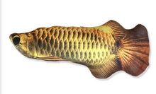 将图片加载到图库查看器，Realistic Looking Cat Kicker Fish Toy - GenieMania Fr
